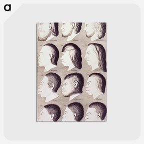 アートポストカード-Evolution of Facial Features
 - 国立医学図書館 Postcard.
