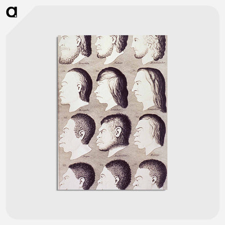 アートポストカード-Evolution of Facial Features
 - 国立医学図書館 Postcard.