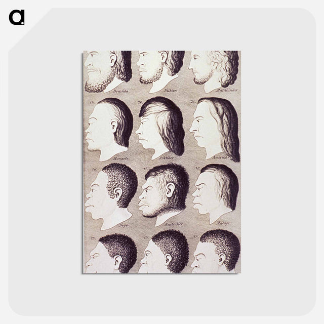 アートポストカード-Evolution of Facial Features
 - 国立医学図書館 Postcard.