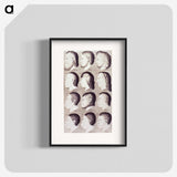 1-13_National-Library-of-Medicine_blk