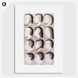 1-13_National-Library-of-Medicine_picture