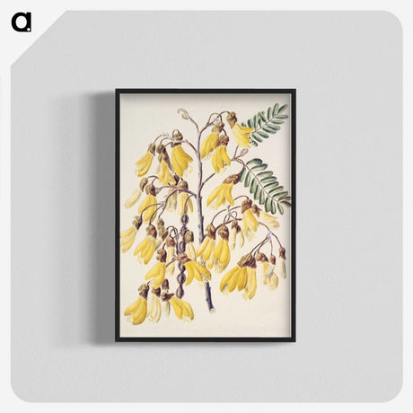 1-13_Native-Flowering-Plants-of-New-Zealand_blk-crop