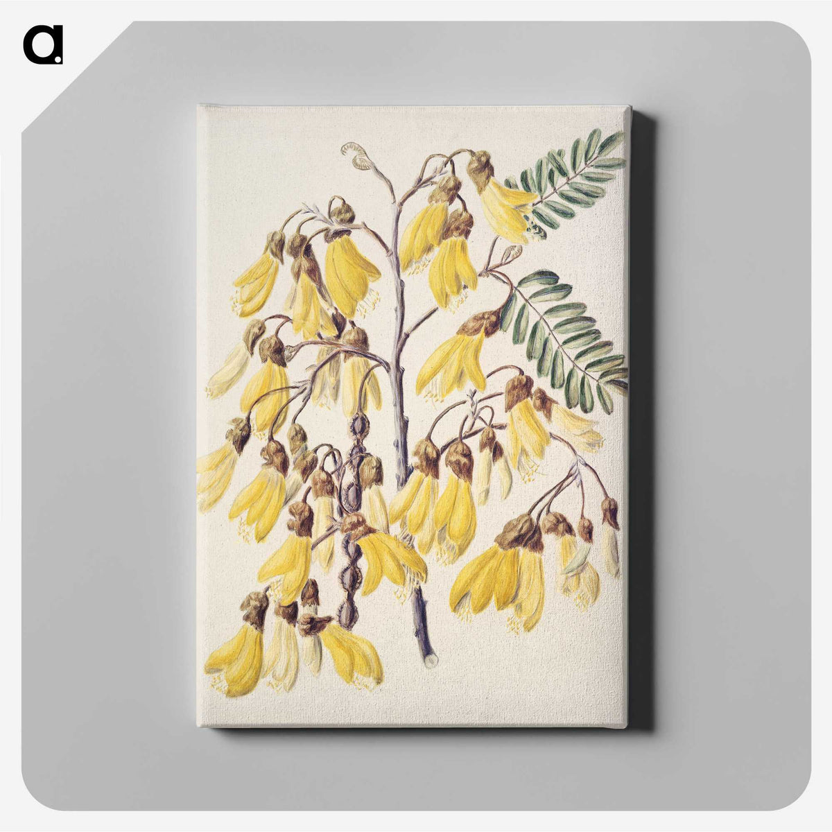 1-13_Native-Flowering-Plants-of-New-Zealand_canvas