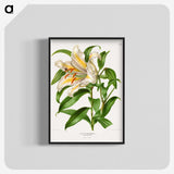 1-13_Nederlandsche-Flora-en-Pomona_blk-crop