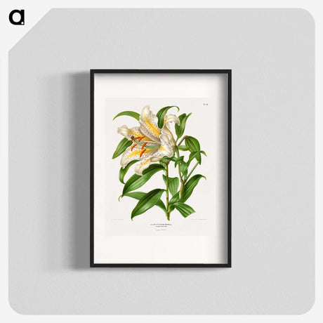 1-13_Nederlandsche-Flora-en-Pomona_blk