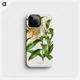 1-13_Nederlandsche-Flora-en-Pomona_phone