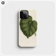 1-13_New-and-Rare-Beautiful-Leaved-Plants_phone