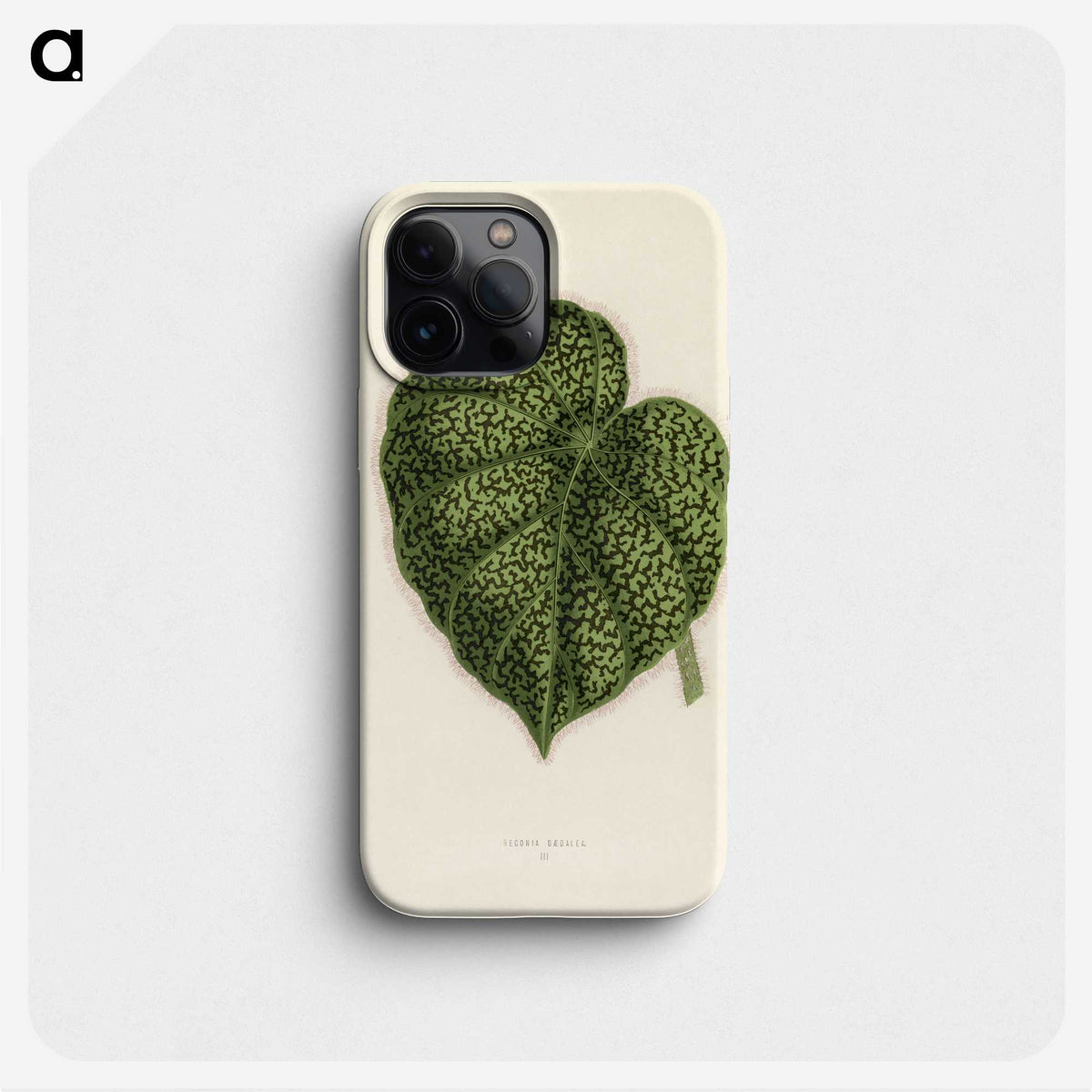 1-13_New-and-Rare-Beautiful-Leaved-Plants_phone