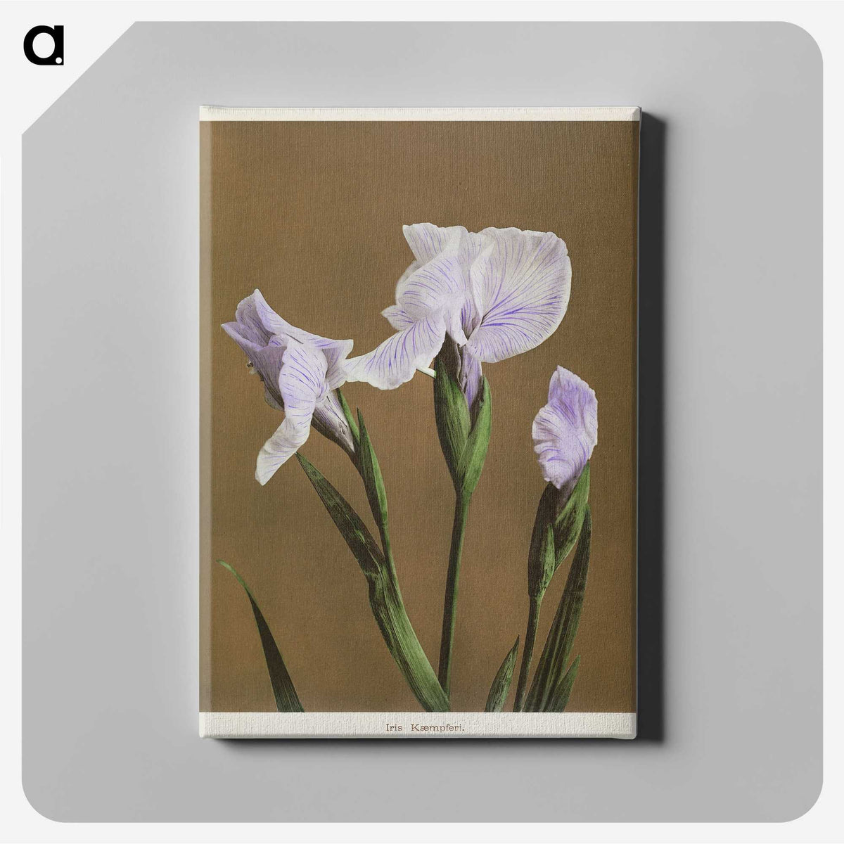 1-13_Ogawa-Kazumasa_canvas
