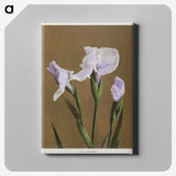 1-13_Ogawa-Kazumasa_canvas