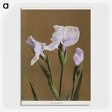 1-13_Ogawa-Kazumasa_picture-crop