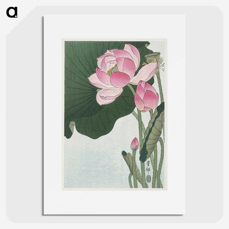 1-13_Ohara-Koson_picture
