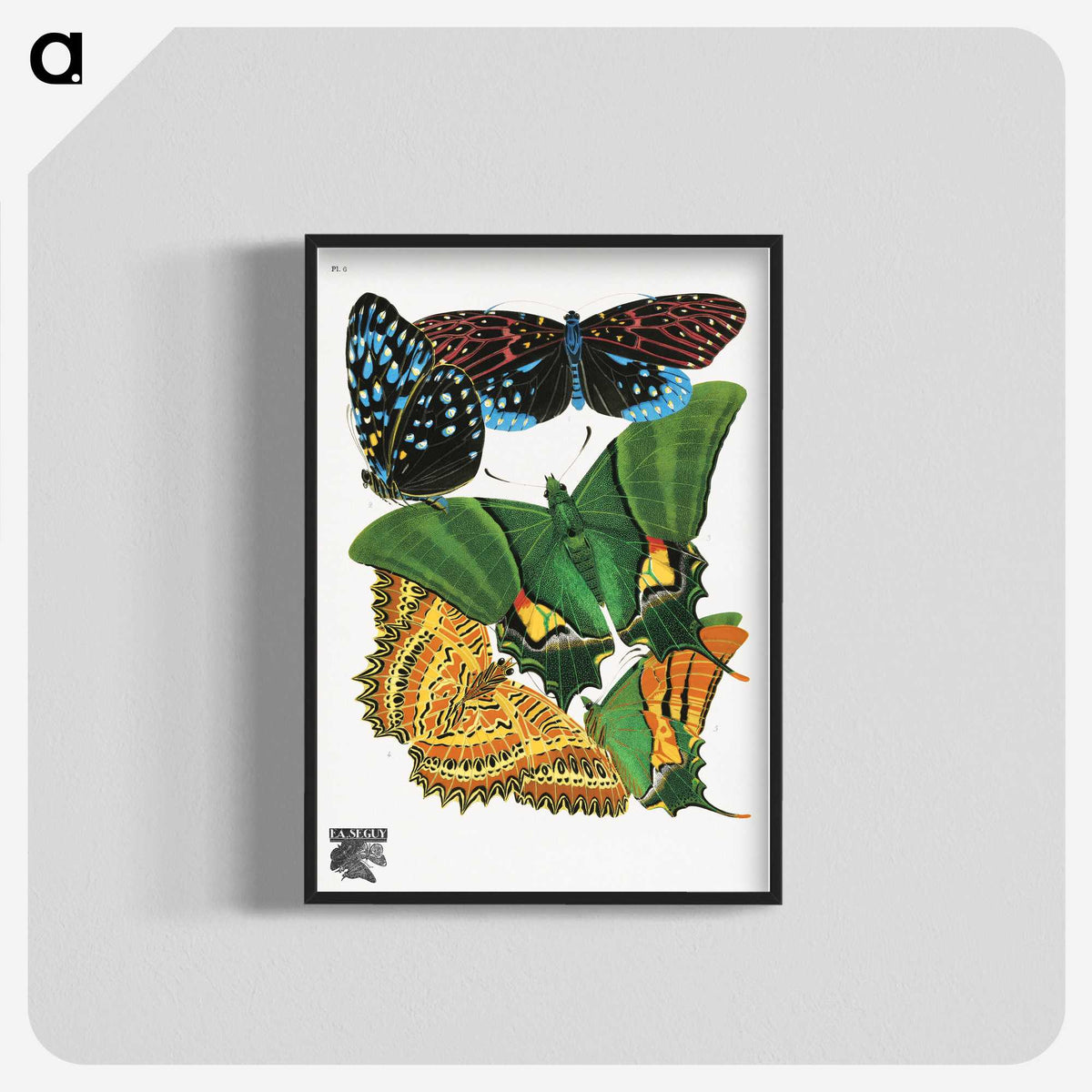 1-13_Papillons_blk-crop