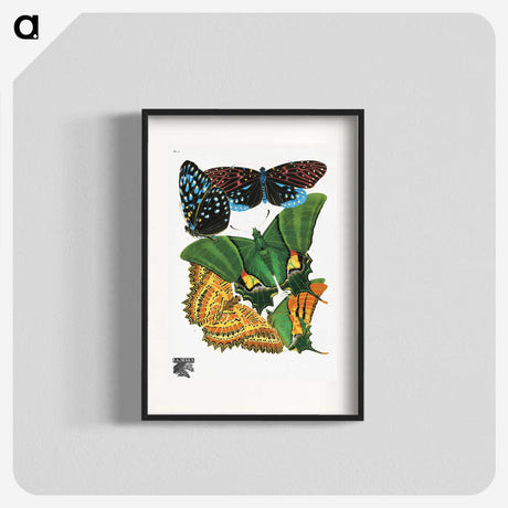 1-13_Papillons_blk