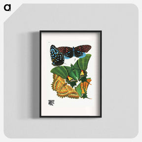 アートポスター-Vintage Butterflies
 - パピヨン Poster.