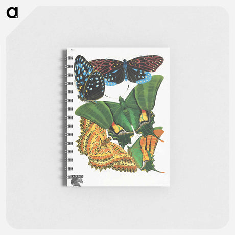 アートメモ帳-Vintage Butterflies
 - パピヨン Memo.