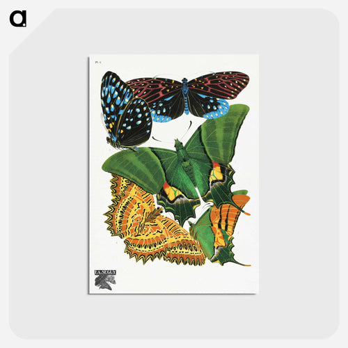 Vintage Butterflies
 - パピヨン Postcard.