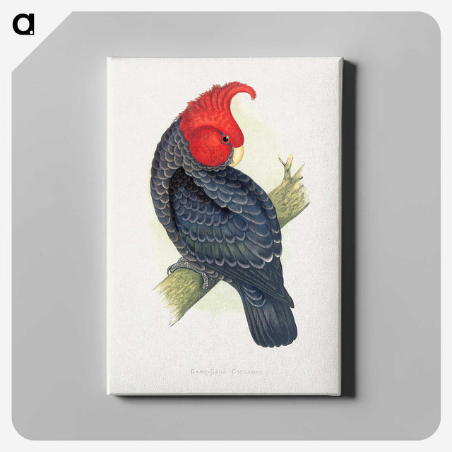 1-13_Parrots-in-Captivity_canvas