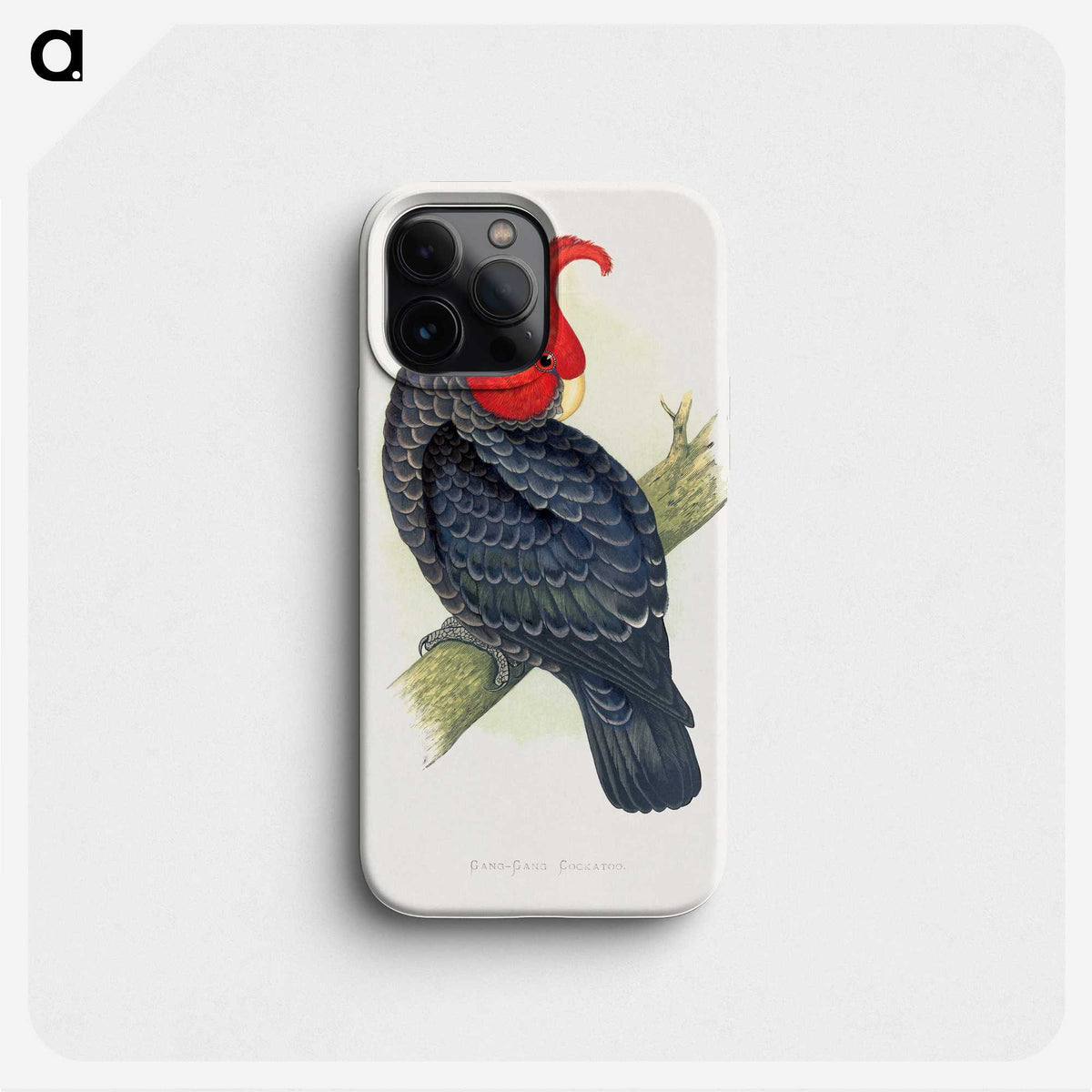1-13_Parrots-in-Captivity_phone