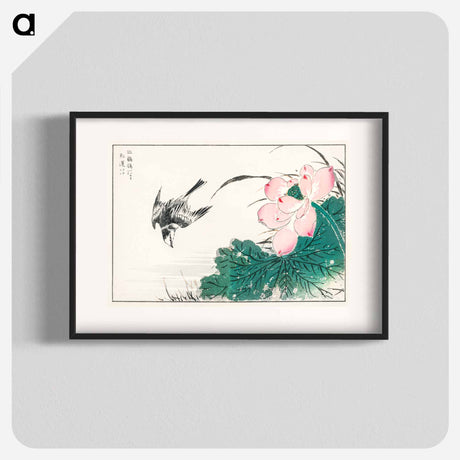 アートポスター-Japanese Pied Wagtail and Red Lotus
 - 鳥類図鑑 Poster.
