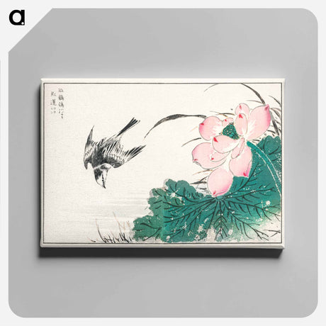 アートパネル-Japanese Pied Wagtail and Red Lotus
 - 鳥類図鑑 Canvas.