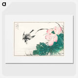 アートポスター-Japanese Pied Wagtail and Red Lotus
 - 鳥類図鑑 Poster.