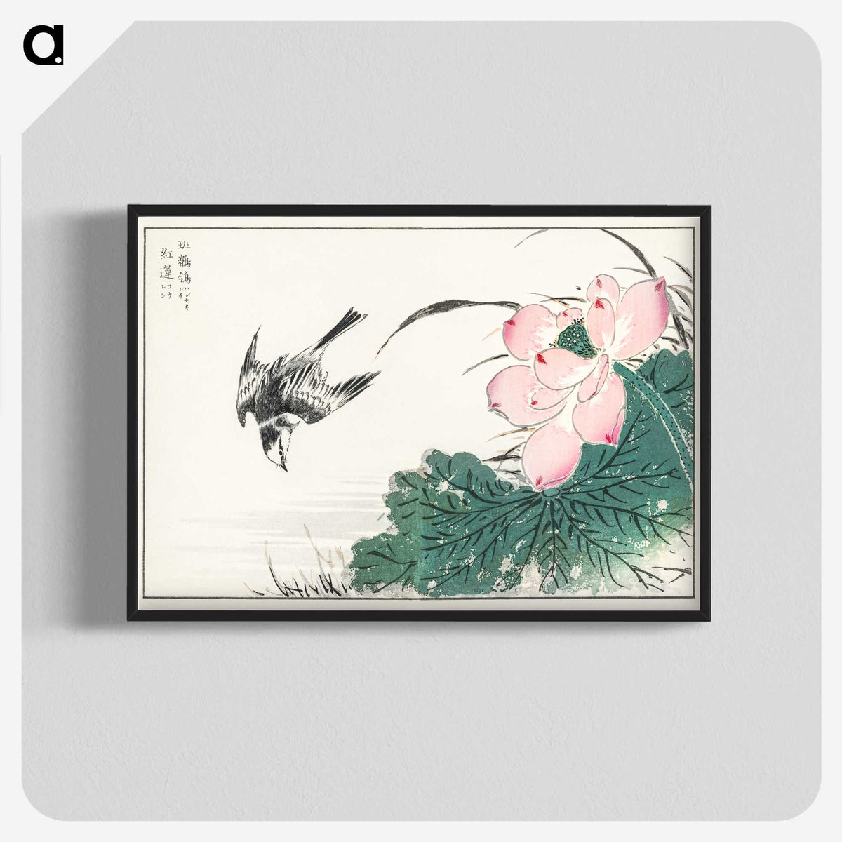 1-13_Pictorial-Monograph-of-Birds_blk-crop