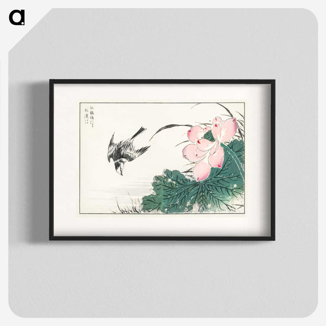 1-13_Pictorial-Monograph-of-Birds_blk