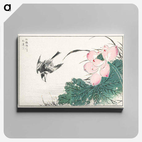 1-13_Pictorial-Monograph-of-Birds_canvas