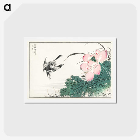 1-13_Pictorial-Monograph-of-Birds_hagaki