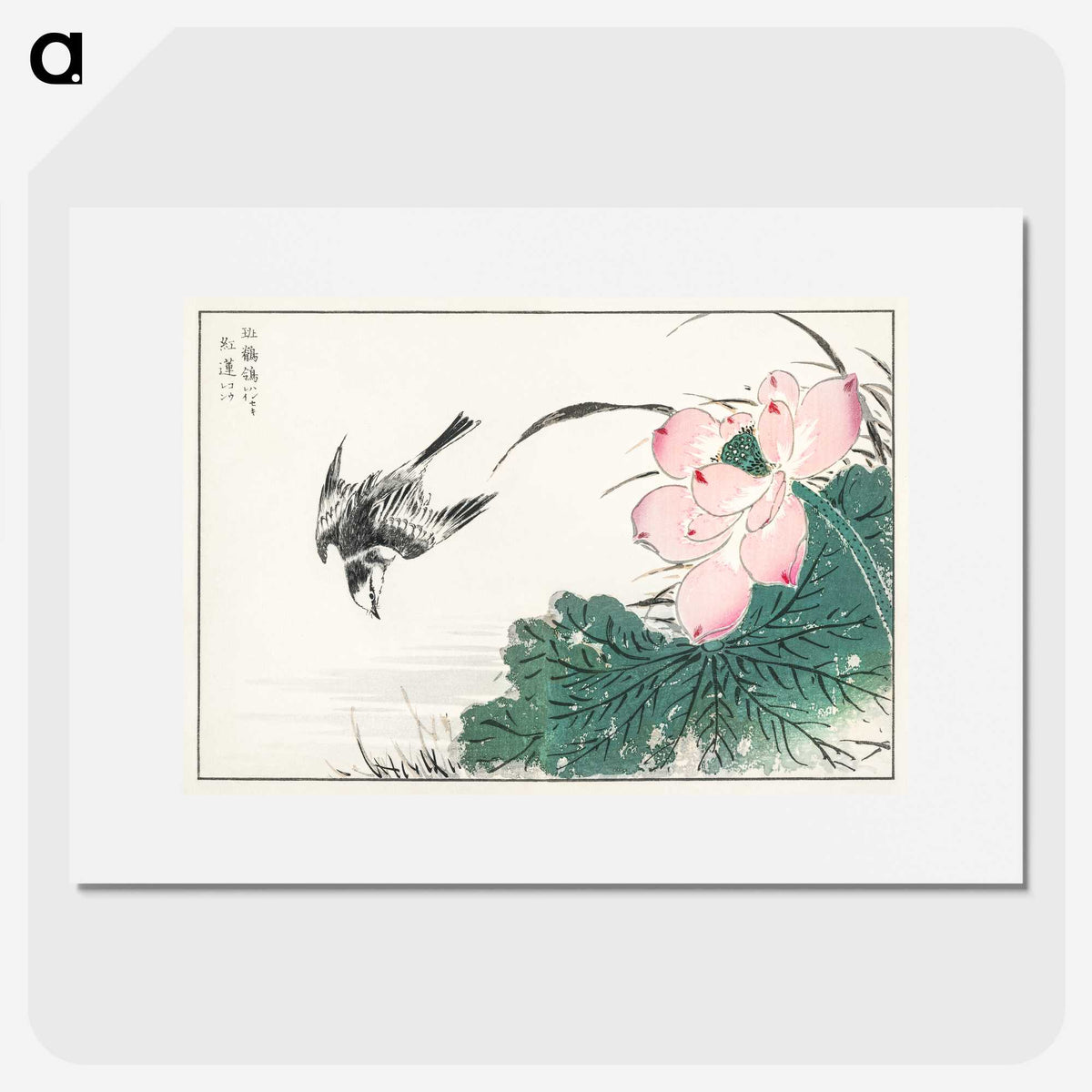 1-13_Pictorial-Monograph-of-Birds_picture