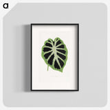 1-13_Plants-with-Colored-Foliage_blk