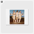 アートポストカード-Raphael's Three Graces - ラファエロ サンティ Postcard.
