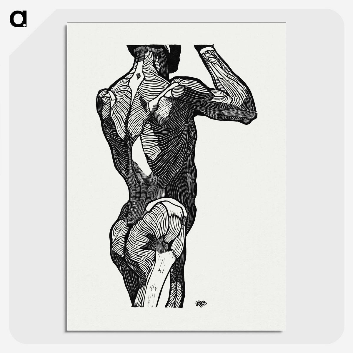 1-13_Reijer-Stolk_picture-crop
