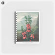 アートメモ帳-The Narrow–Leaved Kalmia from The Temple of Flora
 - ロバート ジョン ソーントン Memo.