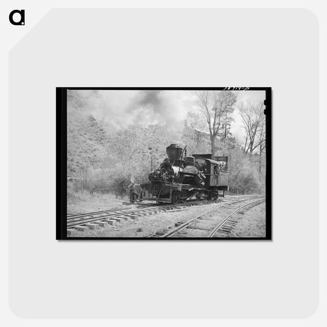 アートポストカード-Logging Train Locomotive
 - ラッセル リー Postcard.