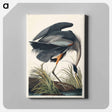 アートパネル-Great blue Heron from Birds of America
 - アメリカの鳥たち Canvas.