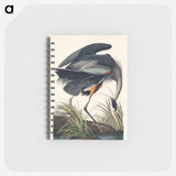 アートメモ帳-Great blue Heron from Birds of America
 - アメリカの鳥たち Memo.