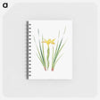 アートメモ帳-Iris Purdyi from The Genus Iris
 - アヤメ属 Memo.