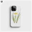 1-13_The-Genus-Iris_phone
