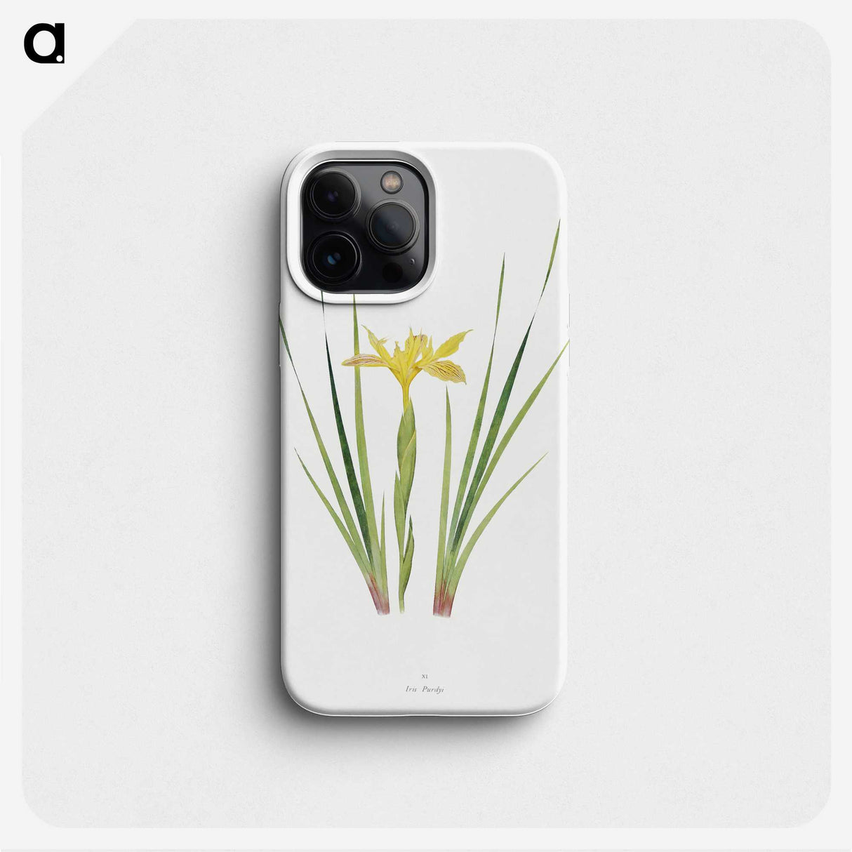 1-13_The-Genus-Iris_phone