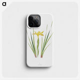 1-13_The-Genus-Iris_phone
