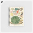 1-13_The-Great-Barrier-Reef-of-Australia_memo