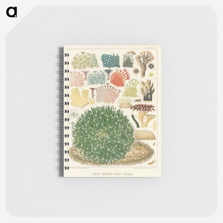 1-13_The-Great-Barrier-Reef-of-Australia_memo