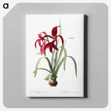 1-13_The-Lilies_canvas