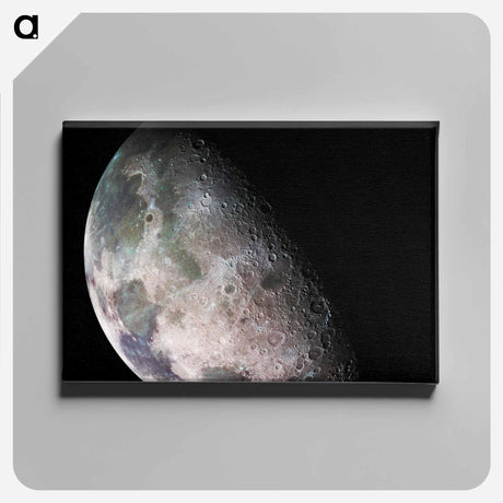 アートパネル-Moon - North Polar Mosaic
 - ムーン Canvas.