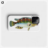 1-13_The-Natural-History-of-British-Fishes_phone