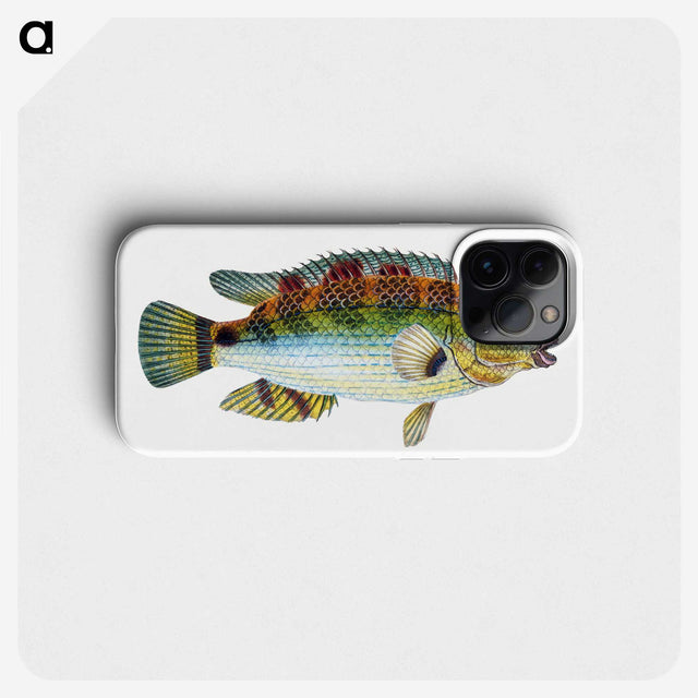 1-13_The-Natural-History-of-British-Fishes_phone