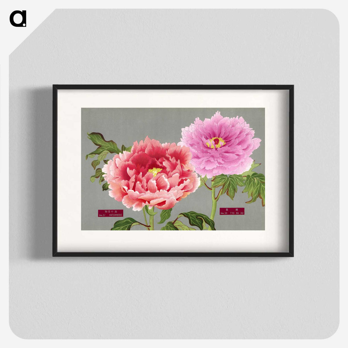 1-13_The-Picture-Book-of-Peonies_blk