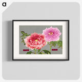 1-13_The-Picture-Book-of-Peonies_blk